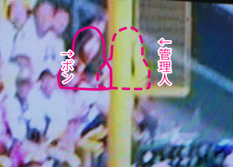 n02.jpg